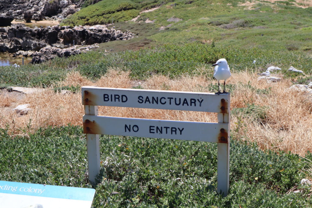 BIRD SANCTUARY